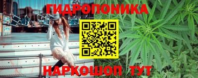 дживик Обь