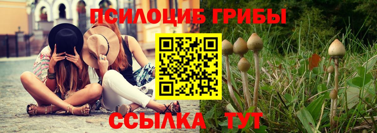 Спасск-Дальний  Псилоцибиновые грибы MAGIC MUSHROOMS  Псилоцибиновые грибы мухоморы  Вход с VPN 