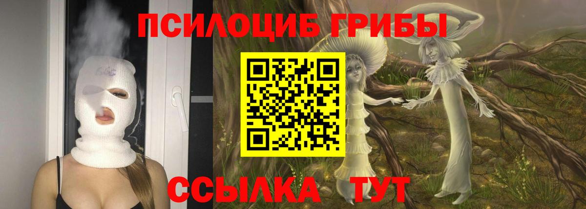 Галлюциногенные грибы Cubensis Спасск-Дальний